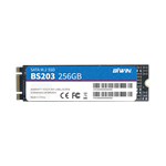 M.2 SATA SSD（图1）