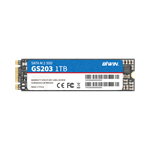 M.2 SATA SSD（图1）